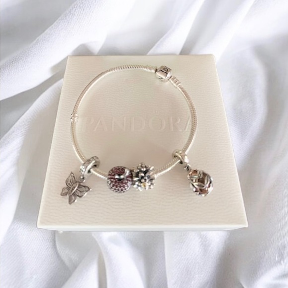 Pandora Snake Chain Silver Bracelet w/ 4 Pandora Charms - Picture 5 of 9